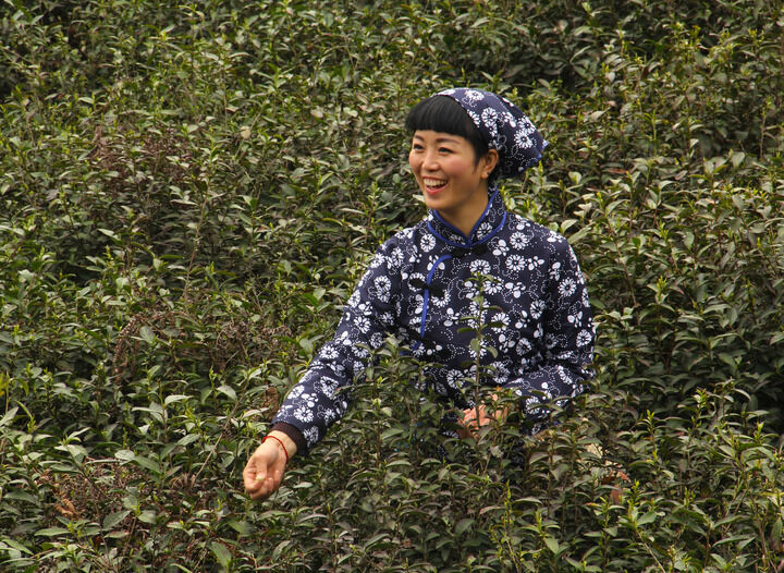 罪恶热线